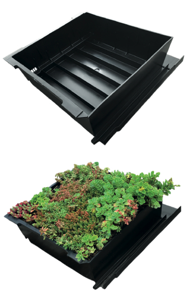 EUREKO GREEN ROOFING CASE