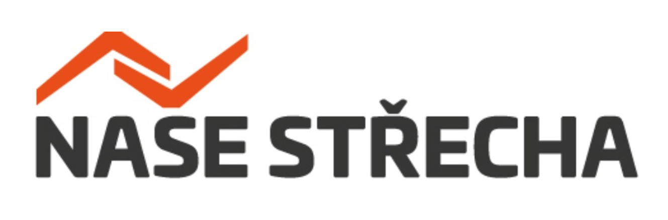 NS logo